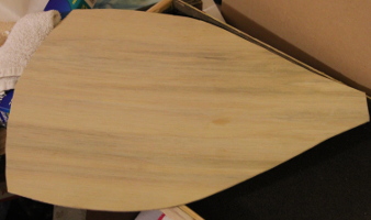 The back