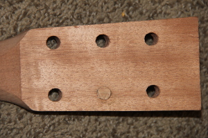 Plugged tuner hole